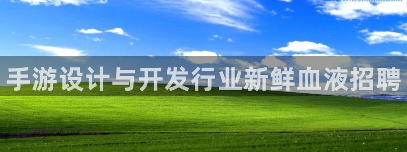 恩佐娱乐手机版最新功能介绍视频：手游设计与开发行业新鲜血液招