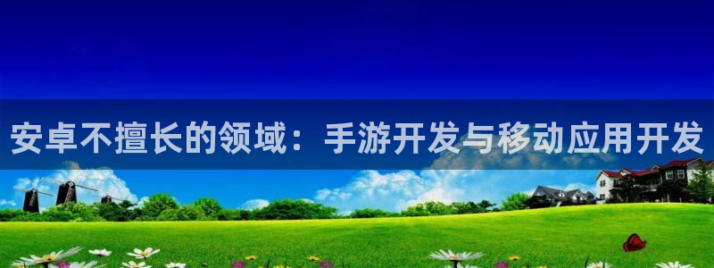 恩佐娱乐：安卓不擅长的领域：手游开发与移动应用开发