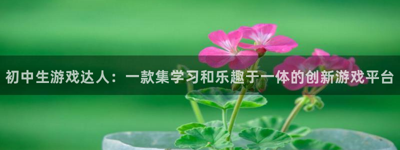 恩佐娱乐手机版最新功能介绍视频：初中生游戏达人：一款集学习和