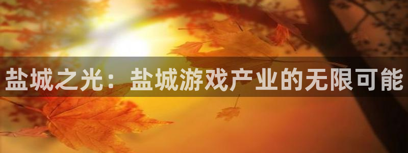 恩佐娱乐手机登录：盐城之光：盐城游戏产业的无限可能