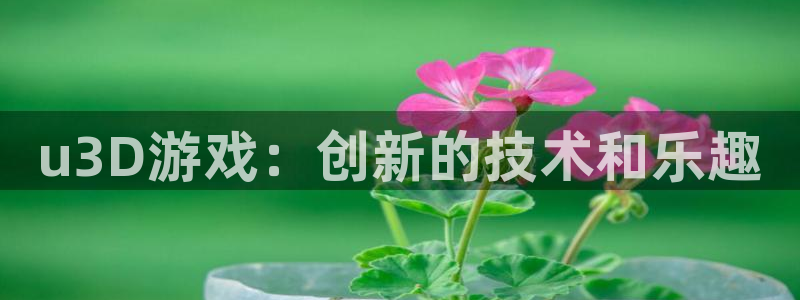 恩佐娱乐手机版最新功能介绍大全