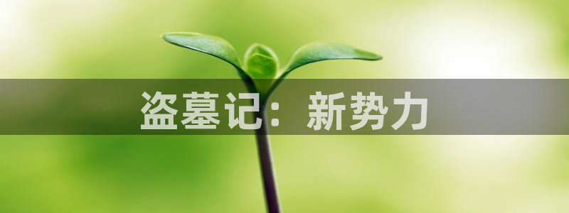 恩佐娱乐官方注册：盗墓记：新势力