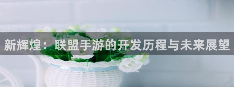 恩佐娱乐：新辉煌：联盟手游的开发历程与未来展望