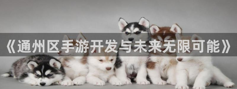 恩佐娱乐1：《通州区手游开发与未来无限可能》