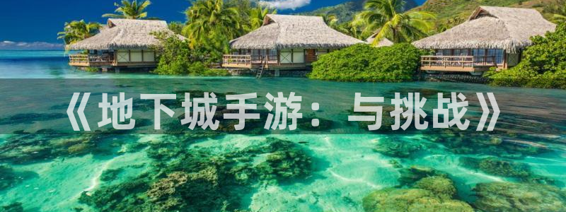 恩佐娱乐平台正规吗可靠吗：《地下城手游：与挑战》