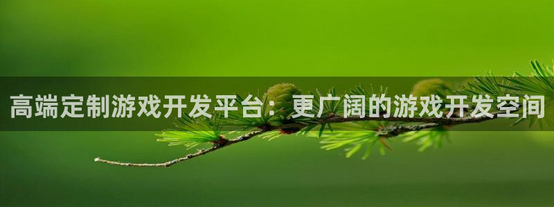 恩佐娱乐手机版最新功能介绍大全：高端定制游戏开发平台：更广阔